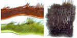 Fur